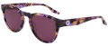 Converse CV560S ALL STAR Lilac Tortoise (542) Sunglasses - Color Image