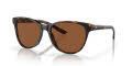 Costa Catherine Tortoise/Copper (201201) Sunglasses - Color Image