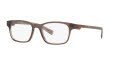 Costa Forest Reef 110 Crystal Gray (06S1003 10030453) Eyeglasses - Color Image
