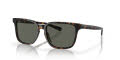 Costa Kailano Tortoise / Gray (201303) Sunglasses - Color Image