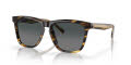 Costa Ulu Tortoise / Gray-Gradient (201402) Sunglasses - Color Image