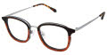 Cremieux Gauguin Black Cedar Eyeglasses - Color Image