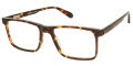 Cremieux Luigi Tortoise Eyeglasses - Color Image