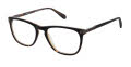 Cremieux Safari Black Eyeglasses - Color Image