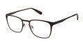 Cremieux Canopy Brown Eyeglasses - Color Image
