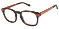 Cremieux Ernst Tortoise Eyeglasses - Color Image