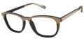 Cremieux Hugo Shale/Ebony Eyeglasses - Color Image
