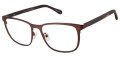 Cremieux Lignac Brown Eyeglasses - Color Image