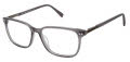 Cruz Dekalb Ave Grey Eyeglasses - Color Image