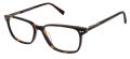 Cruz Dekalb Ave Tortoise Eyeglasses - Color Image