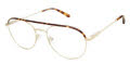 Cruz Larimer Rd Gold  Eyeglasses - Color Image