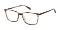 Cruz Midway Rd Amber Eyeglasses - Color Image