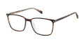 Cruz Midway Rd Tortoise Eyeglasses - Color Image
