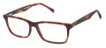 Cruz Woodley Ave Tortoise Eyeglasses - Color Image