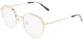 DKNY DK1037 Gold (717) Eyeglasses - Color Image