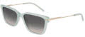 DKNY DK713S Light Green (310) Sunglasses - Color Image