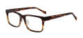 Lucky Brand VLBD436 Havana Olive Gradient (0oli) Eyeglasses - Color Image