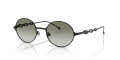 Diesel DL1008 Powder Matte Black/Light Green Gradient (10138E) Sunglasses - Color Image