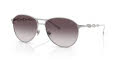 Diesel DL1009 Sand Shiny Gunmetal/Gradient Grey (101411) Sunglasses - Color Image
