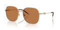 Diesel DL1010D Matte Gold/Brown (101173) Sunglasses - Color Image
