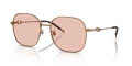Diesel DL1010D Paper Transparent Bronze/Pale Rose (103084) Sunglasses - Color Image