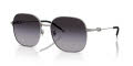 Diesel DL1010D Shiny Gunmetal/Grey Gradient (10038G) Sunglasses - Color Image