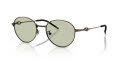 Diesel DL1012D Brushed Light Grey Green/Light Green (1029/2) Sunglasses - Color Image