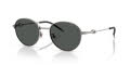 Diesel DL1012D Shiny Gunmetal/Dark Grey (100387) Sunglasses - Color Image