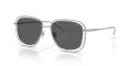 Diesel DL1017 Matte Silver/Solid Grey (100787) Sunglasses - Color Image