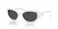 Diesel DL2001MU Shiny White/Dark Grey (712/87) Sunglasses - Color Image