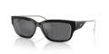 Diesel DL2002MU Shiny Black/Grey Silver Mirror (701/6G) Sunglasses - Color Image