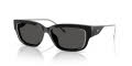 Diesel DL2002MU Shiny Black/Dark Grey (701/87) Sunglasses - Color Image