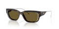 Diesel DL2002MU Shiny Dark Havana/Brown (713/73) Sunglasses - Color Image