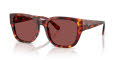 Diesel DL2005 Havana Brown/Dark Violet/Red (202375) Sunglasses - Color Image