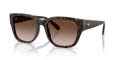 Diesel DL2005 Havana Yellow/Brown Gradient (202213) Sunglasses - Color Image