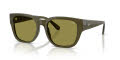 Diesel DL2005 Solid Green/Light Green (2024/2) Sunglasses - Color Image