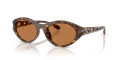 Diesel DL3005U Havana/Solid Brown (201373) Sunglasses - Color Image