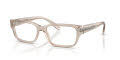 Diesel DL4002 Transparent Taupe (2007) Eyeglasses - Color Image