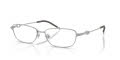 Diesel DL5002 Matte Silver (1007) Eyeglasses - Color Image