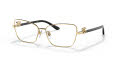 Dolce & Gabbana DG1338 Gold (02) Eyeglasses - Color Image