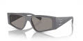 Dolce & Gabbana DG4453 Grey / Photo Grey New (3090M3) Sunglasses - Color Image