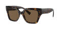 Dolce & Gabbana DG4471 Havana / Dark-Brown (502-73) Sunglasses - Color Image