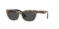 Dolce & Gabbana Kids DX4427 Leo Brown/Black Sunglasses - Color Image