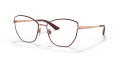Dolce & Gabbana DG1340 Pink Gold/Bordeaux (1351) Eyeglasses - Color Image