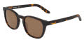 Dragon DR GATSBY LL Matte Tortoise/LL Brown (246) Sunglasses - Color Image