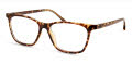 ECO Sahara Dark Tortoise Eyeglasses - Color Image