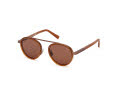 Ermenegildo Zegna EZ0242 Shiny Light Brown (45E) Sunglasses - Color Image