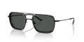 Emporio Armani EA2162 Matte Black/Smoke (300187) Sunglasses - Color Image