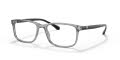 Emporio Armani EA3098 Transparent Grey (5029) Eyeglasses - Color Image