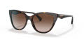 Emporio Armani EA4162 Havana / Gradient Brown (587913) Sunglasses - Color Image